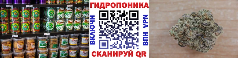 Canna-Cookies марихуана  площадка состав  Гуково  где купить наркотик 