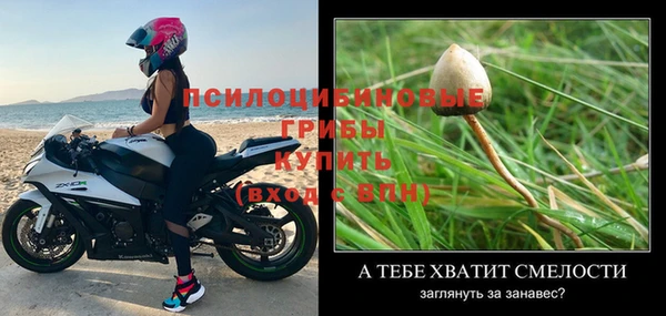молекула духа Воткинск