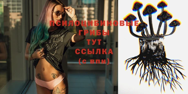 первитин Гусев