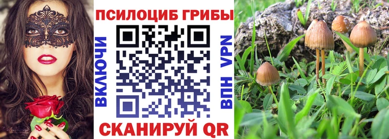 Псилоцибиновые грибы MAGIC MUSHROOMS  Гуково 